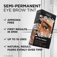 Loreal Paris Brow Color Semipermanent Tint 1.0 Black